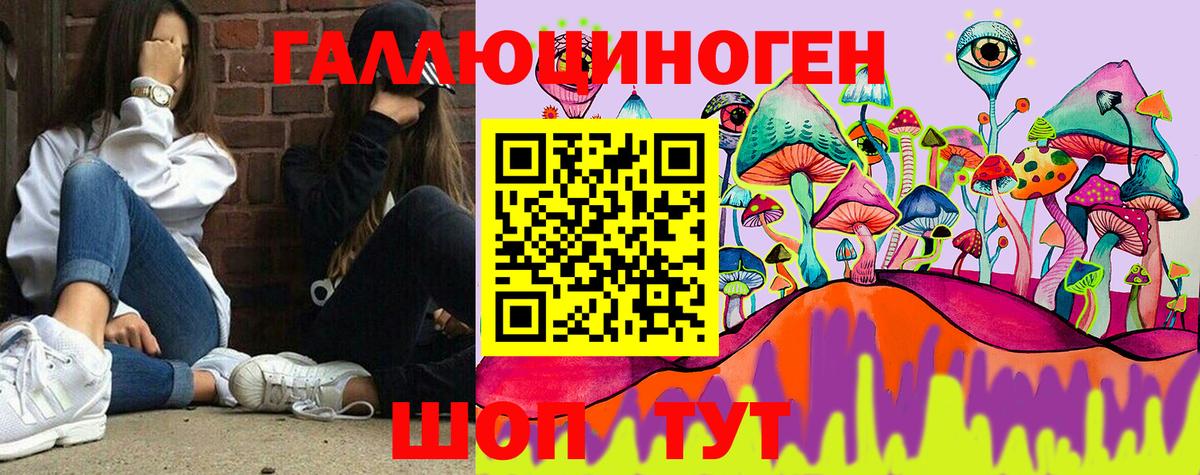 Псилоцибиновые грибы Psilocybine cubensis Дюртюли